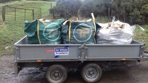 Softwood hardwood logs - softwood,