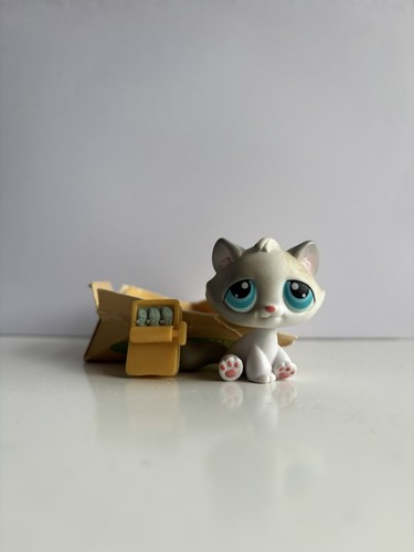 Cat with accessories 53 - with,