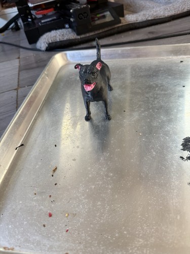Staffordshire bull terrier - bull,