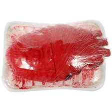 Halloween Body Organ Prop
