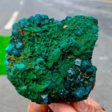 198G Natural green dioptase emerandine gemstone cluster mineral specimen