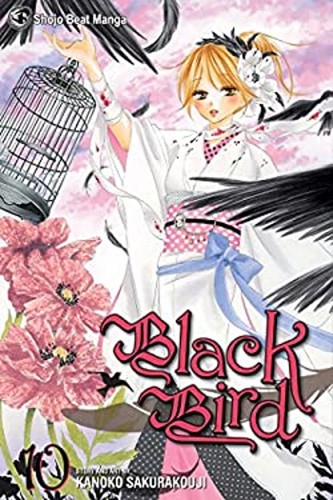 Black bird vol 10 paperback - bird,,