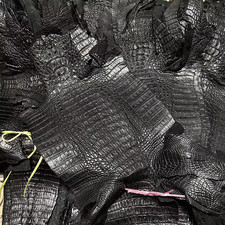 New Real Alligator Crocodile