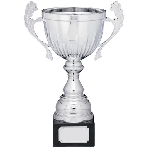 Silver presentation cup with - presentation,