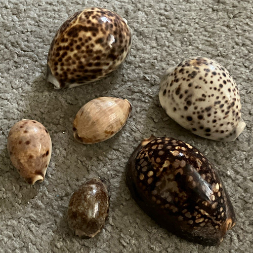 Lot natural polished - lot, of