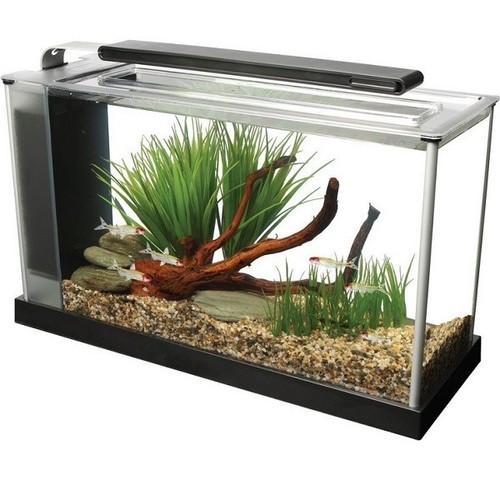 Fluval spec aquarium 10l - fluval,