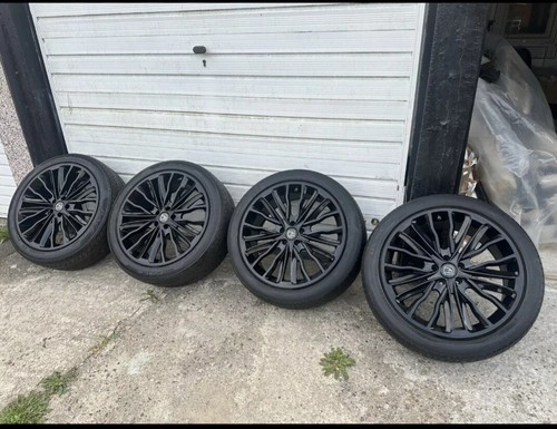 Hawke harrier alloy - hawke,