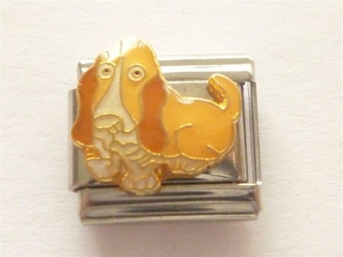 Bassett hound dog classic - bassett,