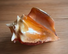 Beautiful 9.5cm x 6.5cm