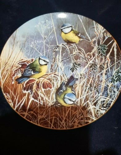 Coalport plate winter bluetit - coalport,