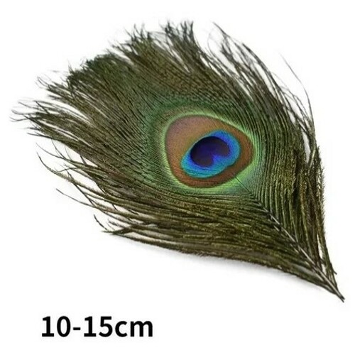 5pcs natural real peacock - natural,