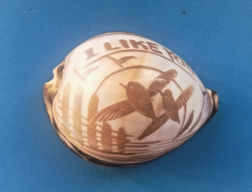 Victorian hand carved cowrie - hand,