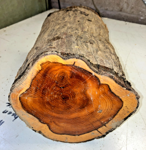 180x140x300mm lot 459a yew - 180x140x300mm,