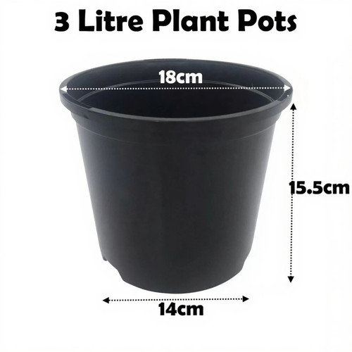 Litre black plant - litre, pots