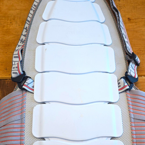 Dainese back protector - back,