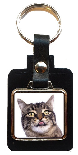 Manx cat pet black leather - manx,