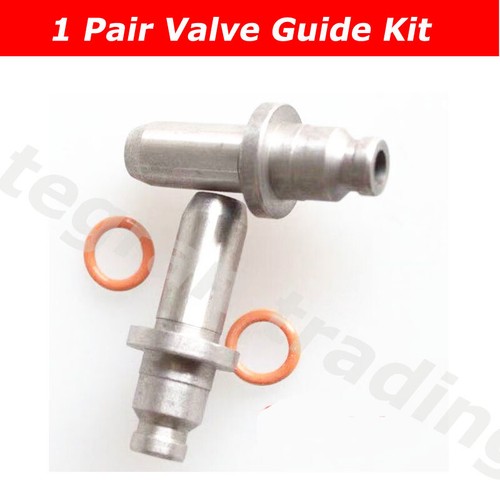 Valve seal guide - valve, for