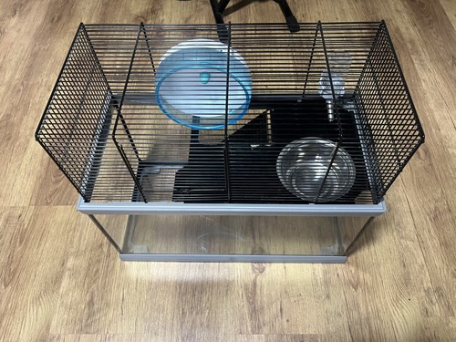 Ferplast gerbil hamster - ferplast, gerbil/