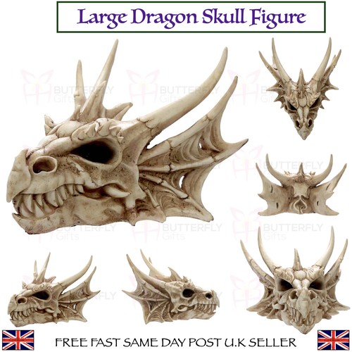 Large horned dragon skull - large,