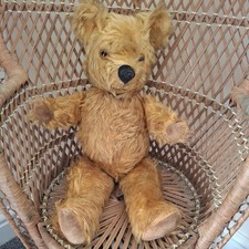 Pedigree Teddy Bear 19" Tall