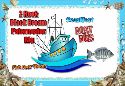 Hook black bream - x,