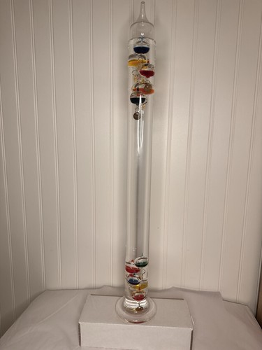 Giant tall galileo - giant, 24"