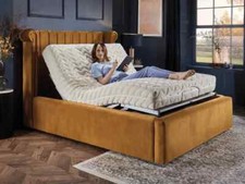 The Winged Design Electric