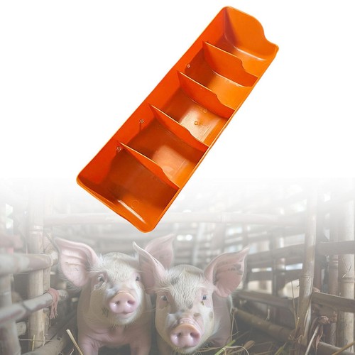 Piglet feeder feeding watering - piglet,