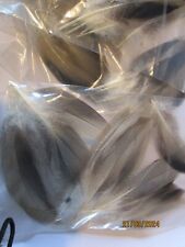 Bronze mallard feathers bulk bags of 20 large and medium mixed fly tying