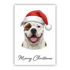 American Bulldog Christmas Dog