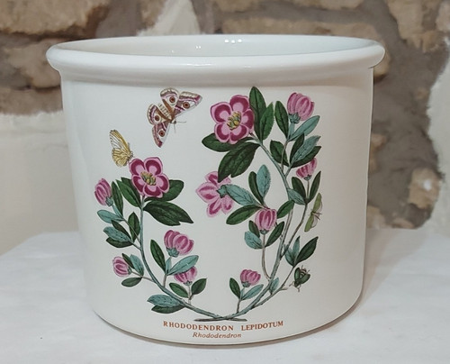 Vintage portmeirion botanic - portmeirion,