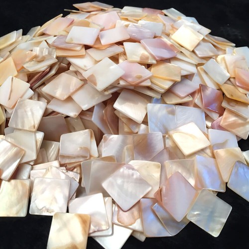 500g square shell mother - shell, of