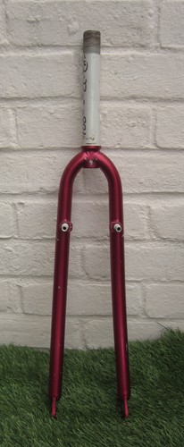 Retro lung 700c steel - lung,