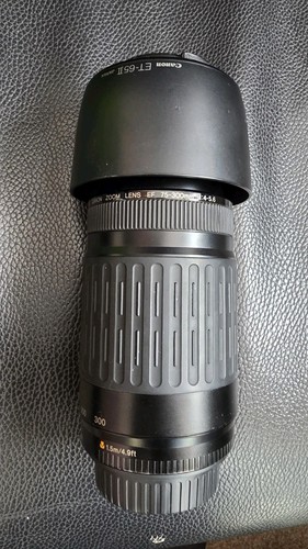 Canon 300mm 5 6 zoom - 75-300mm, f/4-5.6