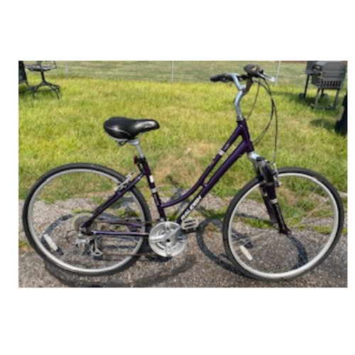 Womens raleigh route 0 - raleigh, 4.0