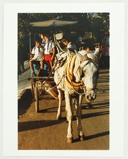 Cuban 2004 Santiago School Bus