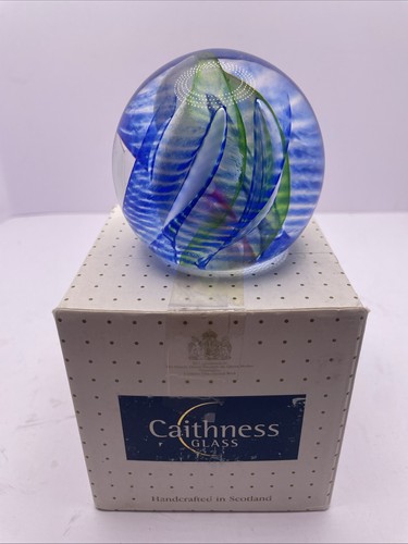 Caithness fiesta limited - "fiesta",