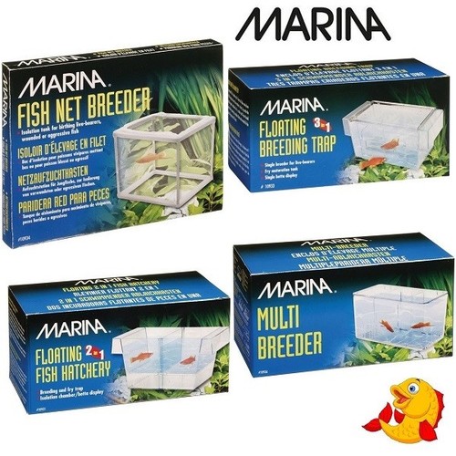 Marina fish breeding box - fish,