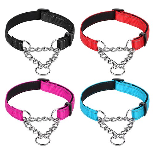 Reflective martingale dog - reflective,