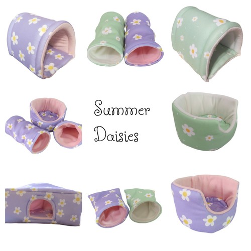 Summer daisies guinea - daisies, pig