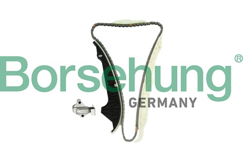 Borsehung b10203 timing chain - b10203,