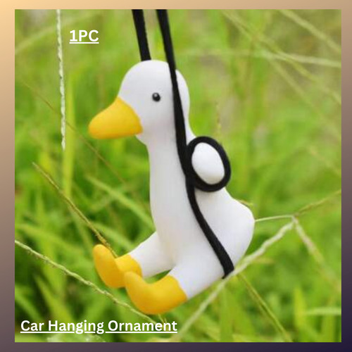 Swing goose car - car, funny