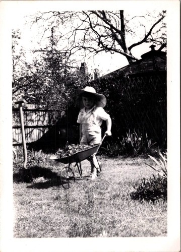 Old photo small boy - b&w,