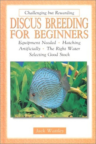 Discus breeding for beginners - breeding,