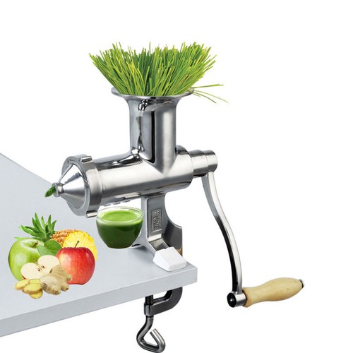 Stainless steel wheatgrass - stainless,