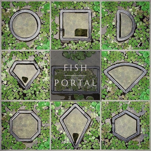 Fish tank feeding ring - feeding,