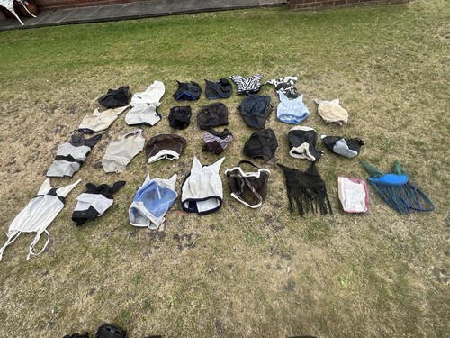 Equestrian joblot fly mask - fly,