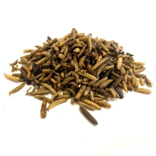 Dried calciworms 1kg - dried, premium