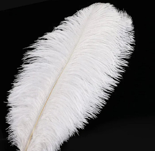 Solid colour ostrich feathers - solid,