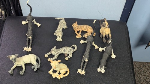County artists breed - county, apart